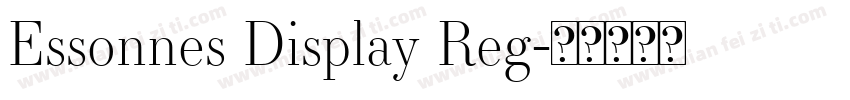 Essonnes Display Reg字体转换